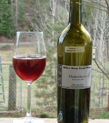 We drive wine from chokeberry: my step-by-step recipe, I guarantee tears of happiness