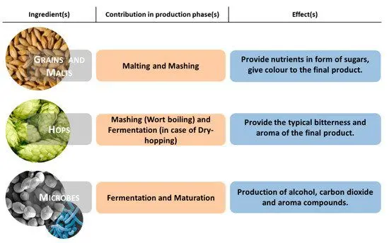 Weissbier: history, overview of species, production features, how and with what to drink