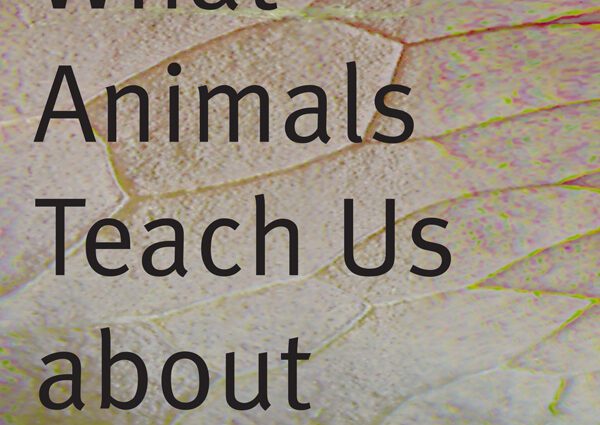 What animals teach us