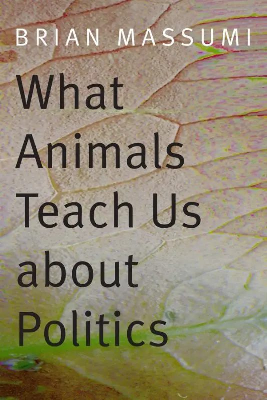 What animals teach us