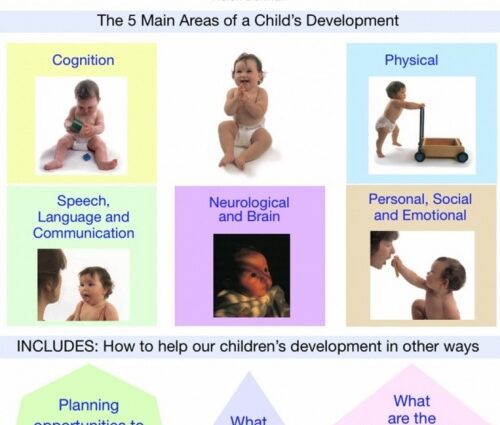 What are our years: the main stages of child development