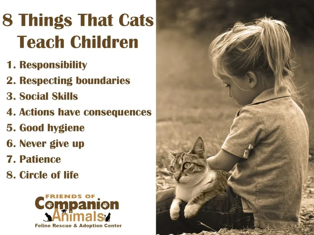 What can a pet teach a child?