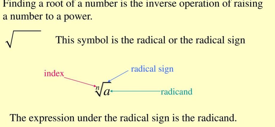 What does the expression &#8220;to be under the fly&#8221; mean and where did it come from