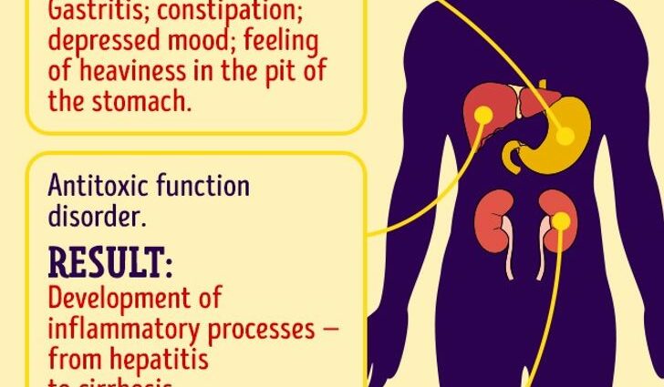 What happens if you drink beer every day