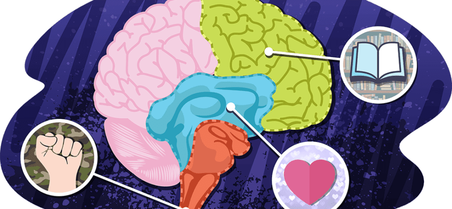 What Happens in the Brain When You Need to Make a Quick Decision