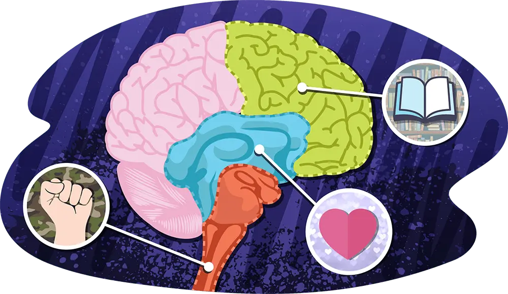 What Happens in the Brain When You Need to Make a Quick Decision