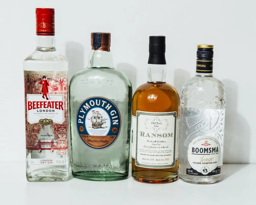 What is gin made of + 5 types