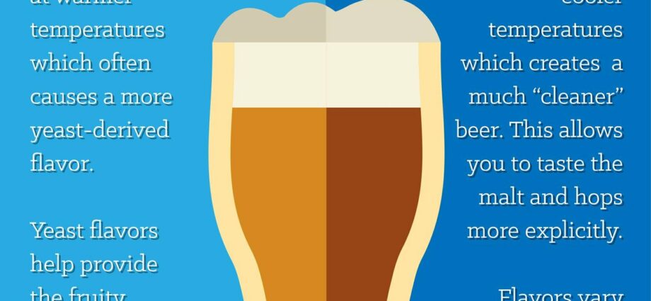 What is the difference between beer and beer drink