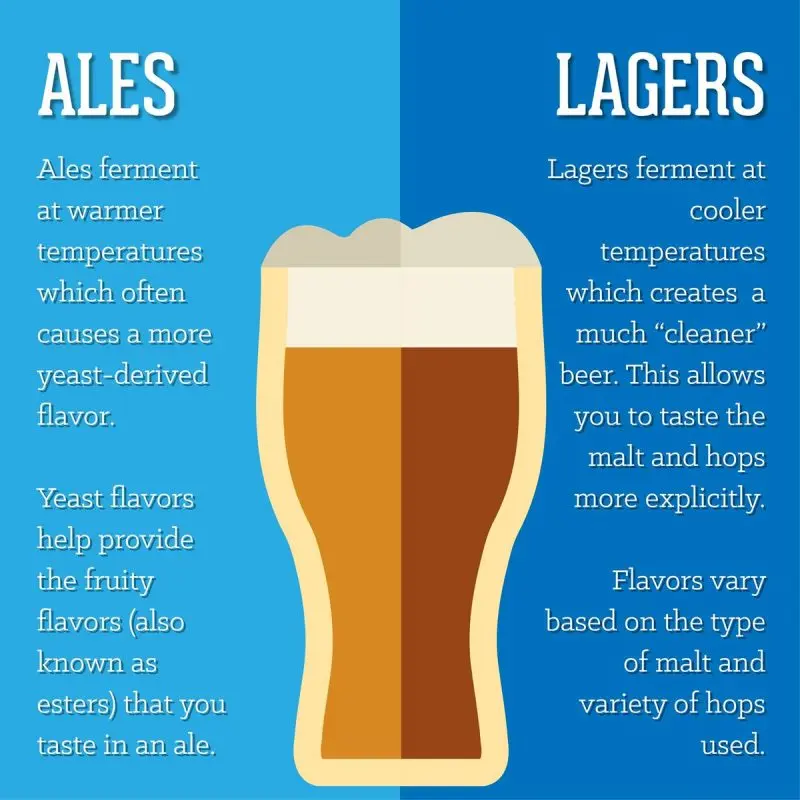 What is the difference between beer and beer drink