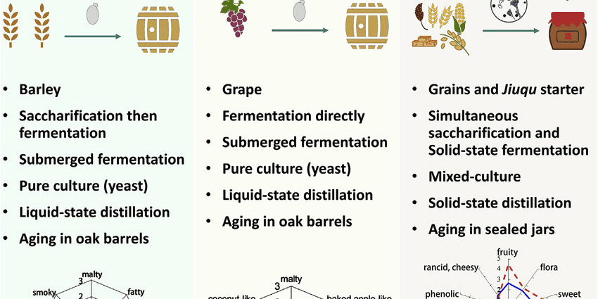 What is the difference between brandy and cognac: briefly and clearly