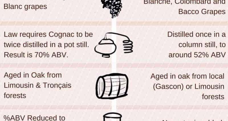 What is the difference between cognac and brandy, except for the color and the TOP 5 best brands of each drink that are sold with us