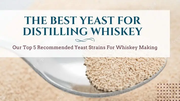 What yeast to choose for moonshine: I share my proven top 3, on which I have been brewing for more than one year