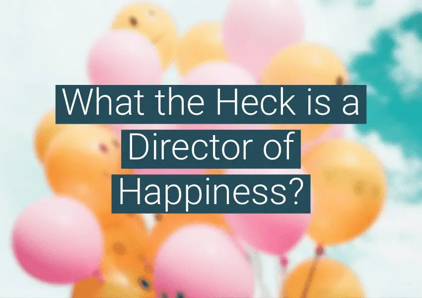 Who needs a &#8220;director of happiness&#8221;?