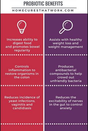 Why do we need probiotics