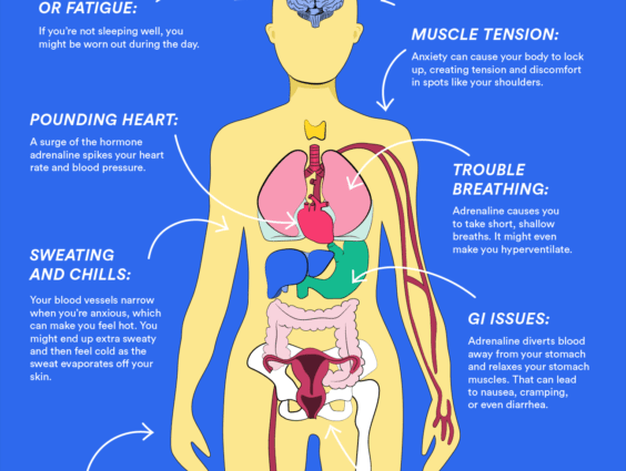 Why does anxiety kill our body?