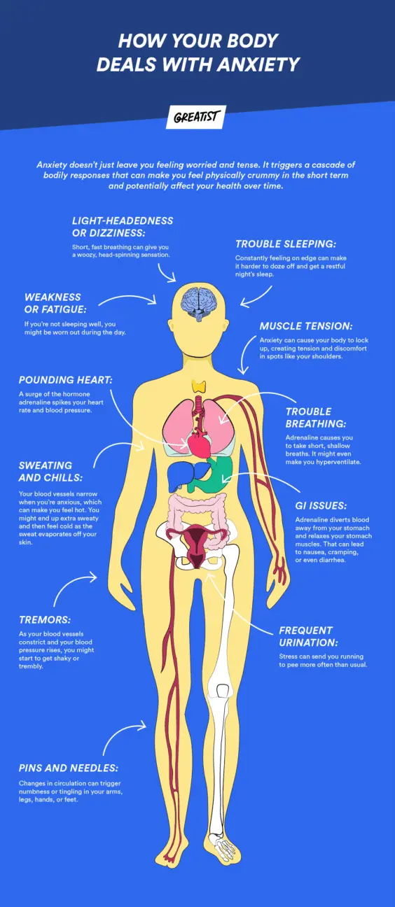 Why does anxiety kill our body?