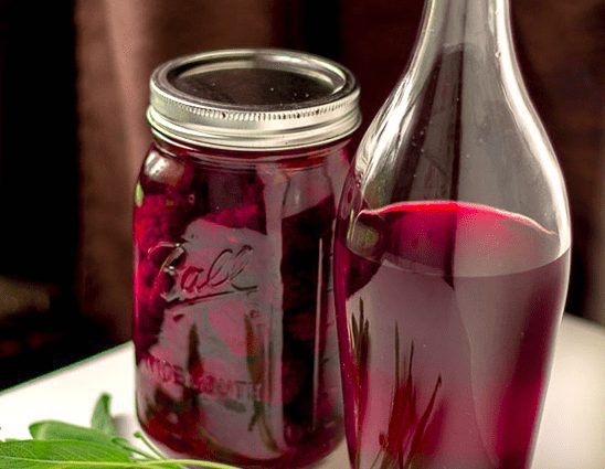 Why wine turns into vinegar