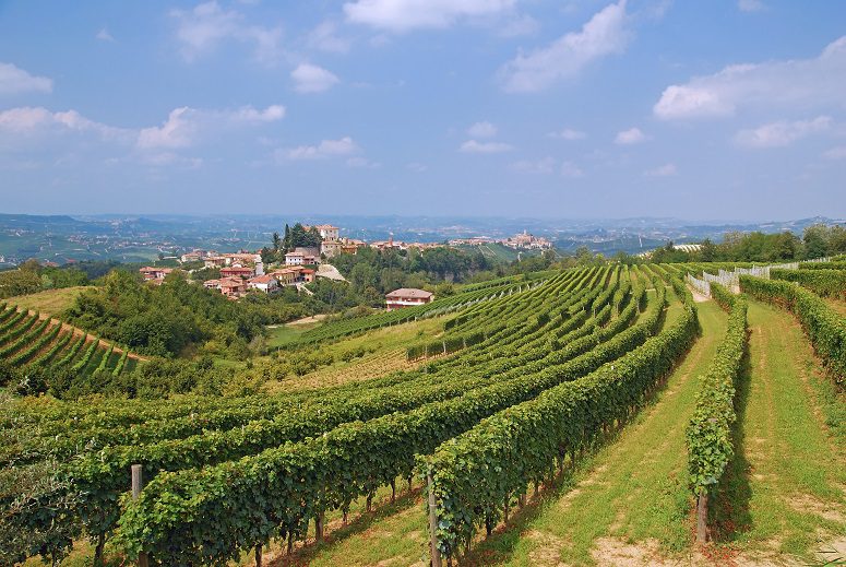 Wine Asti (Asti) &#8211; the Italian alternative to champagne