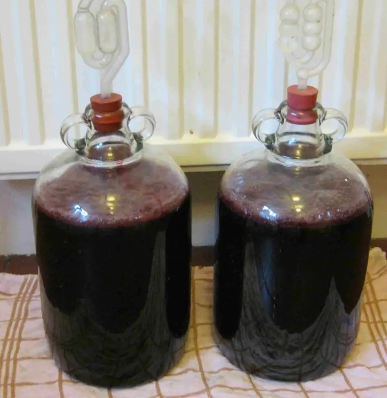 Wine from chokeberry at home