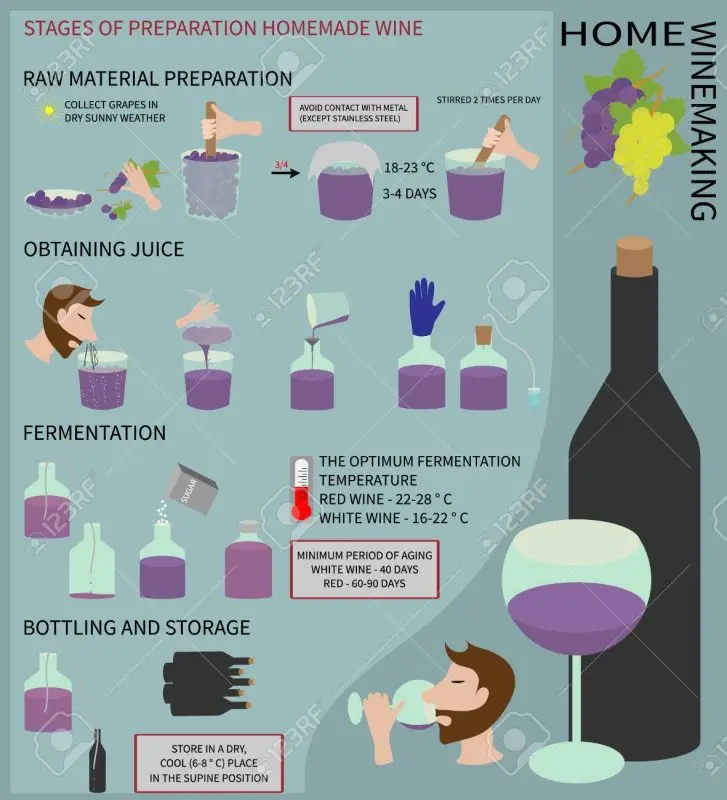 Wine from grapes at home. Step by step technology and recipe.