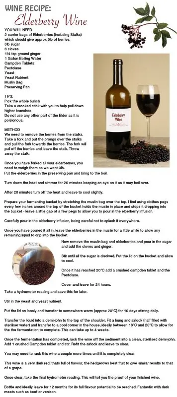Wine from shadberry: 2 recipes at home