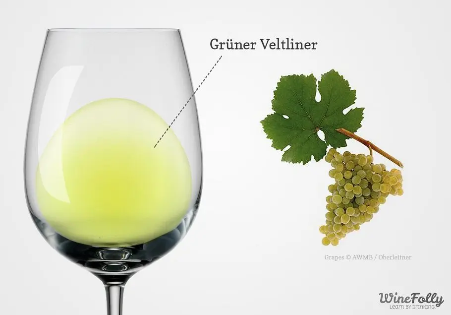 Wine Grüner Veltliner (Grüner Veltliner) &#8211; the flagship of Austrian winemaking