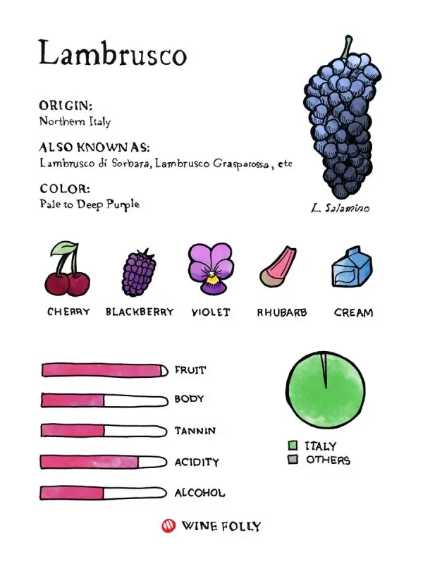 Wine Lambrusco: types, what they are made of, how to choose natural