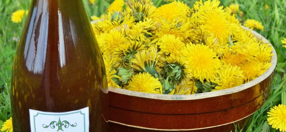 Wine, liquor, dandelion tincture: 3 recipes at home