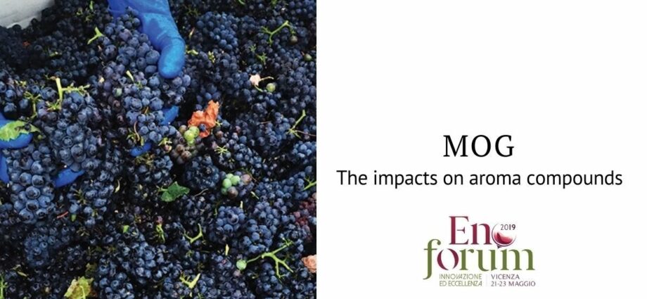 Wine material: what is it and other interesting information