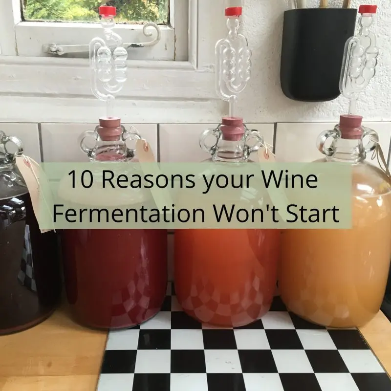 Wine stopped fermenting earlier than expected: 9 tips on what to do