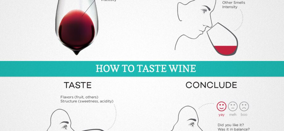 Wine tasting: tips, process, final assessment