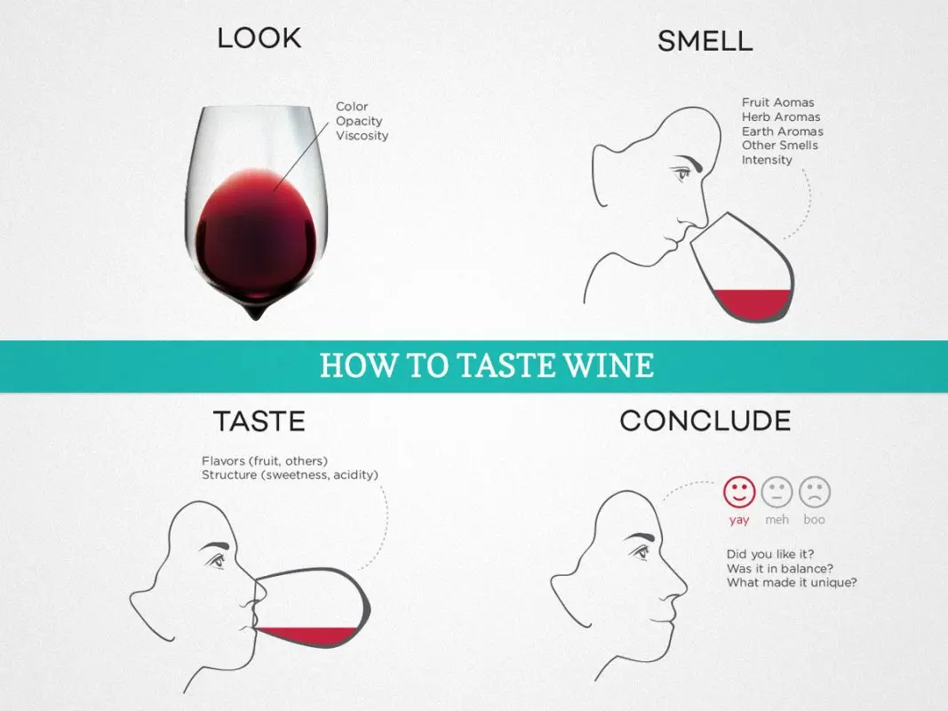 Wine tasting: tips, process, final assessment