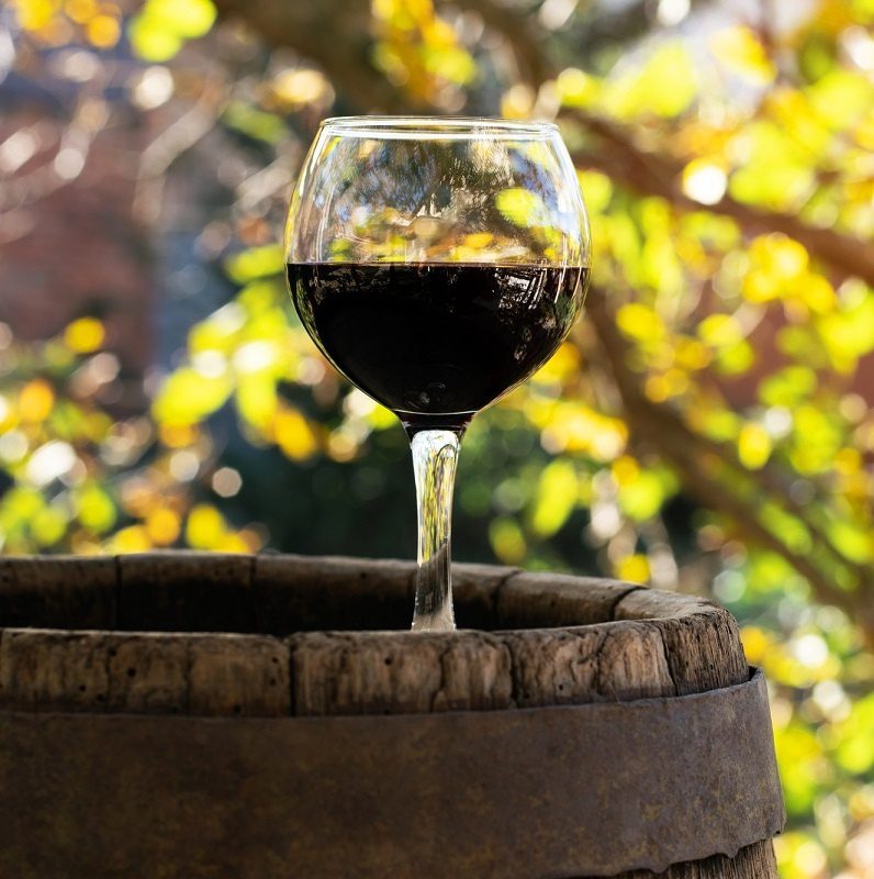 Wines from Merlot grapes (Merlot) &#8211; the modest charm of the classics