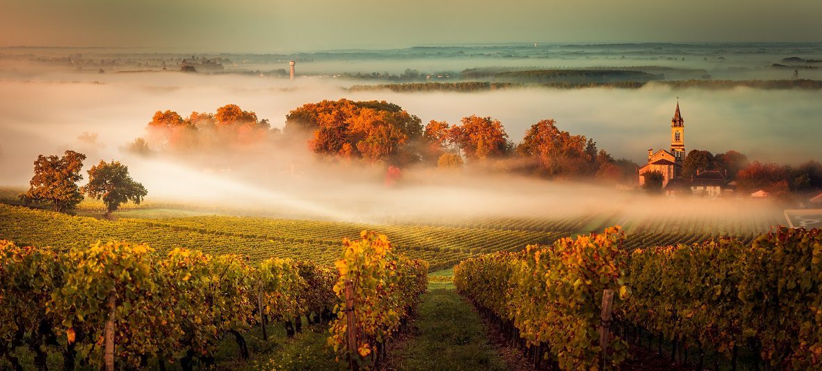 Wines of Bordeaux (Bordeaux) &#8211; drinks from the most famous wine region of France