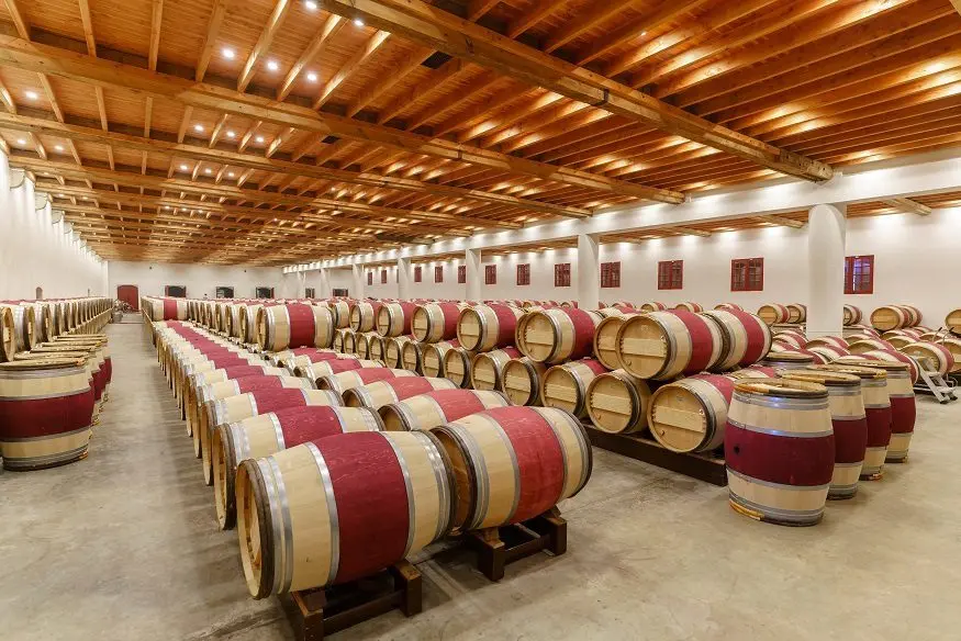 Wines of Bordeaux (Bordeaux) – drinks from the most famous wine region of France