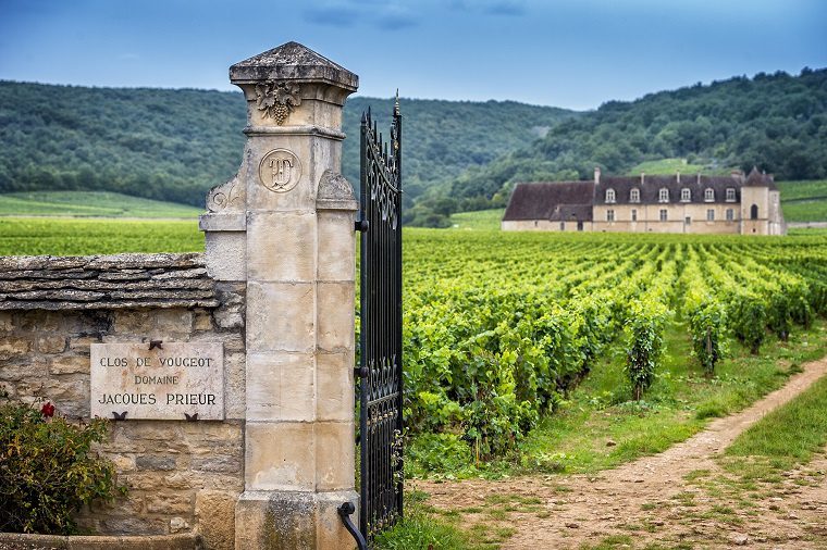 Wines of Burgundy (Bourgogne wine) &#8211; variety of varieties and styles