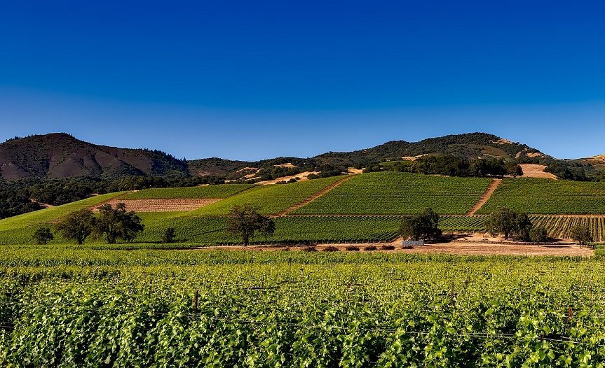 Wines of California (California wines) &#8211; the &#8220;wine&#8221; state of the USA