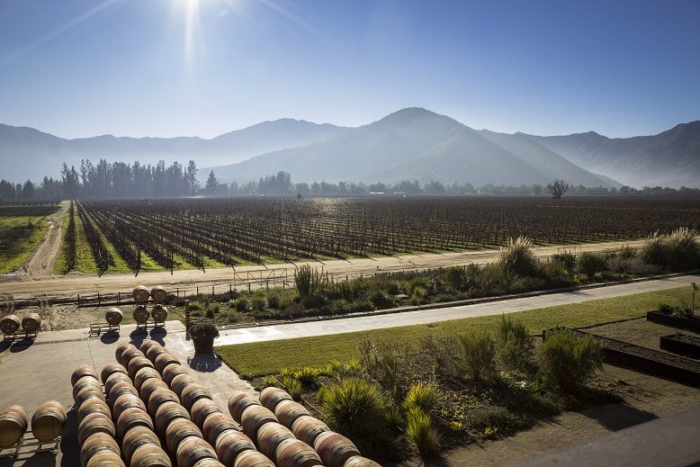 Wines of Chile &#8211; the pearl of the &#8220;New World&#8221;