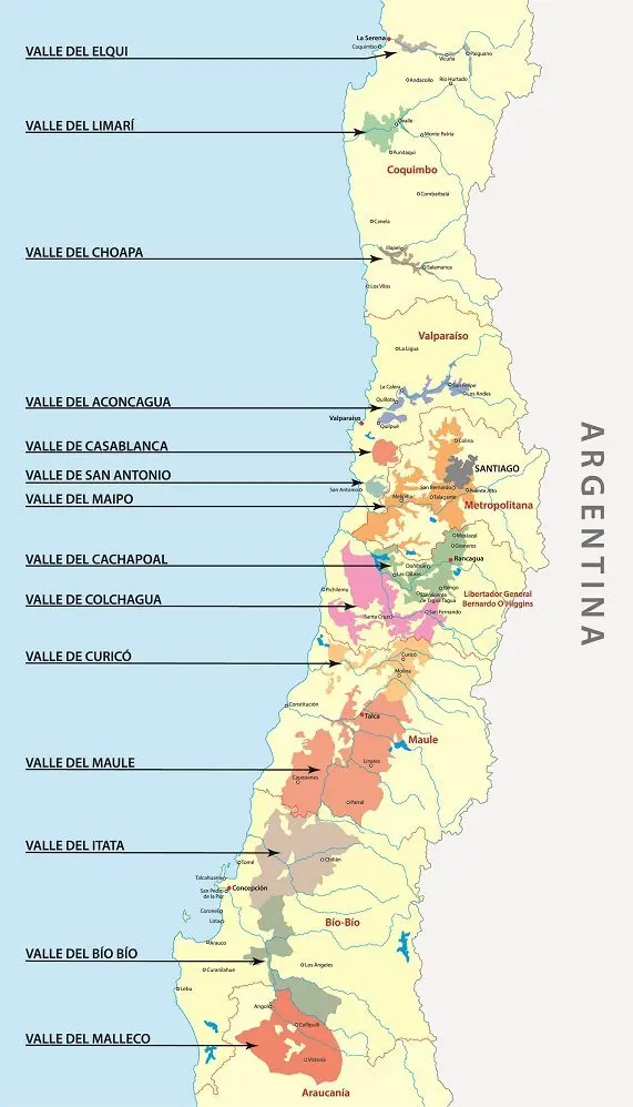 Wines of Chile &#8211; the pearl of the &#8220;New World&#8221;