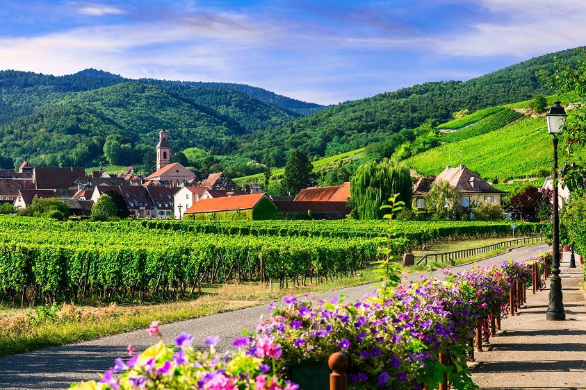 Wines of France &#8211; an unshakable standard of quality