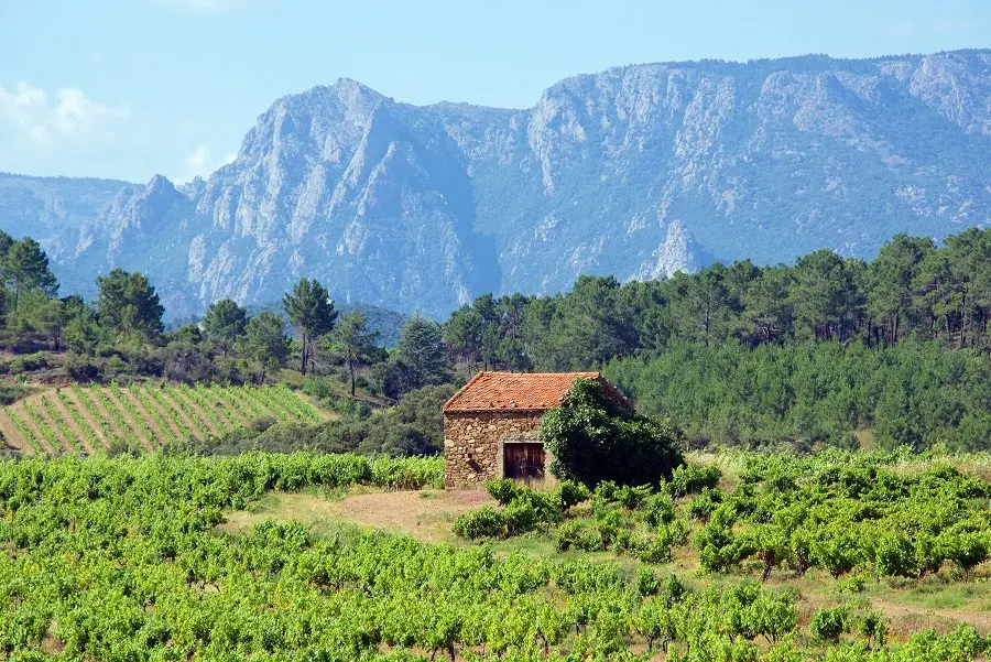 Wines of Languedoc Wines &#8211; the largest wine region in France