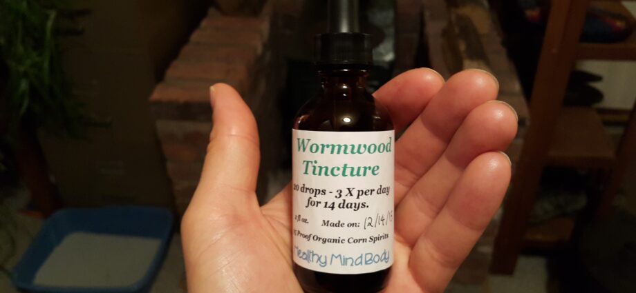 Wormwood tinctures: 4 recipes at home