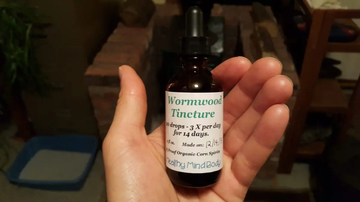 Wormwood tinctures: 4 recipes at home