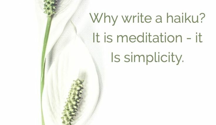 “Writing a haiku is like meditating”