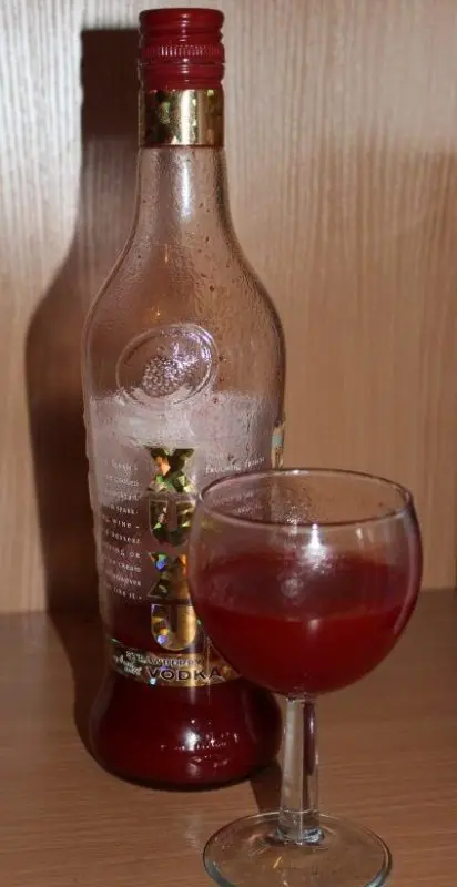 Xu-Xu (XUXU) &#8211; drinking culture, cocktails and homemade strawberry liqueur recipe