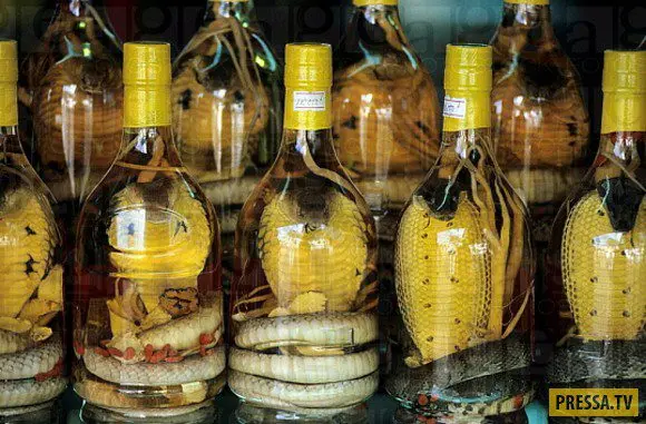 Zmeevka (wine or vodka with a snake) &#8211; an exotic spirit of the East