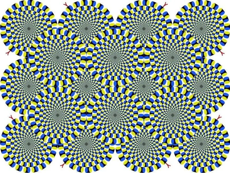 10 Illusions You Should Break As an Adult