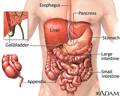 Abdominal Pain: What Suppressed Emotions Is She Talking About?