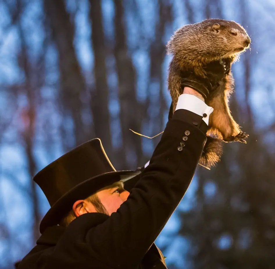 And my groundhog is with me: how to cope with the routine