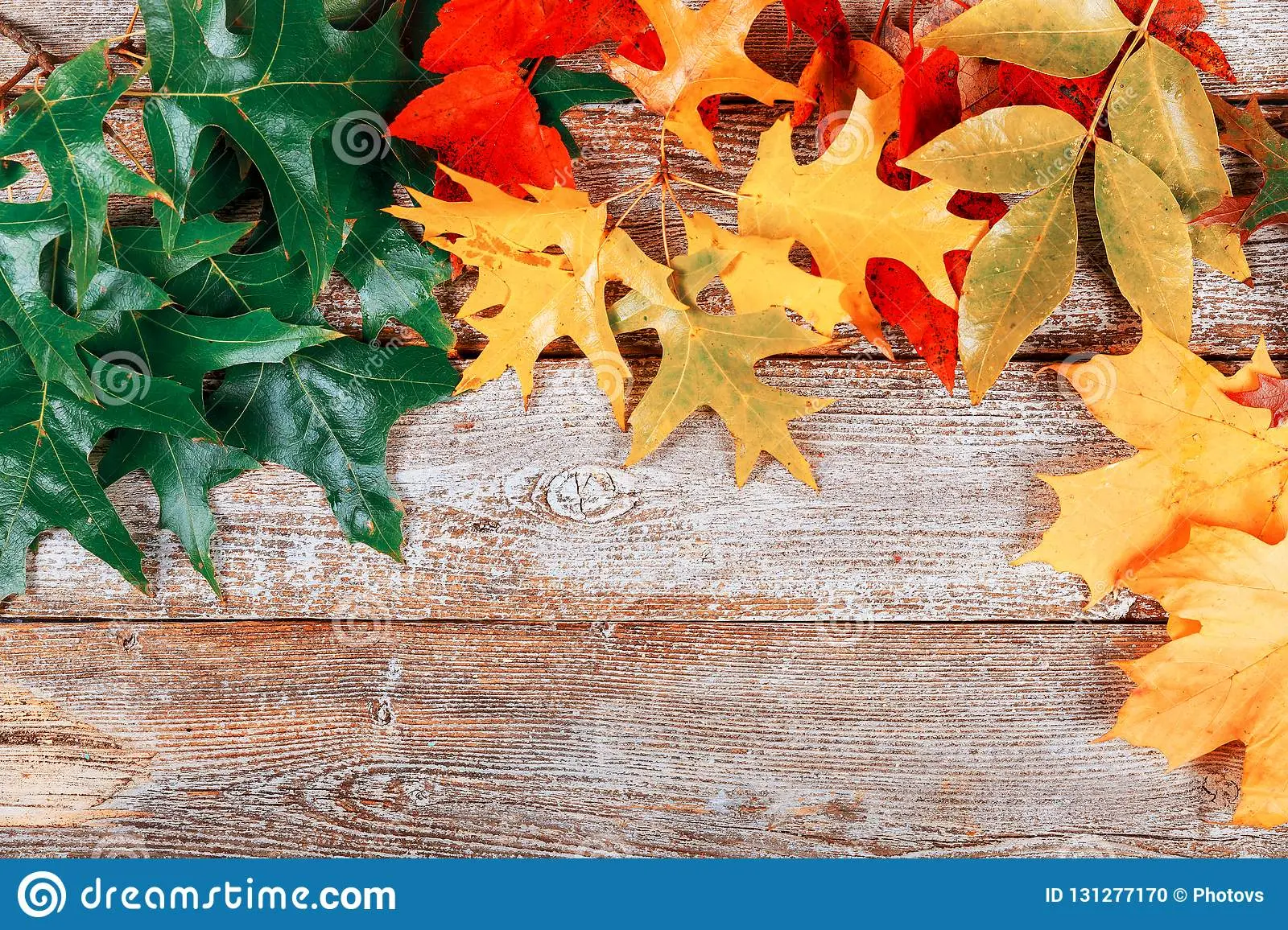 Autumn blanks: we save energy in the body to survive the winter